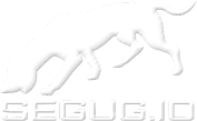 dog_image